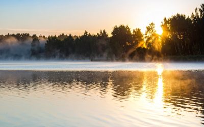 Intercession: A Core DTB Pillar